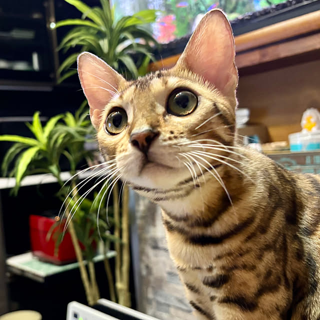 tututu0204さんの部屋