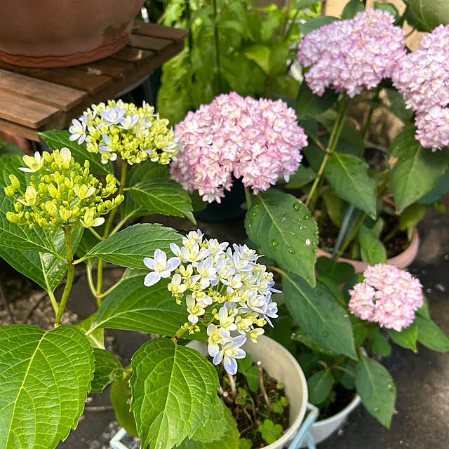 fumikoiさんの部屋