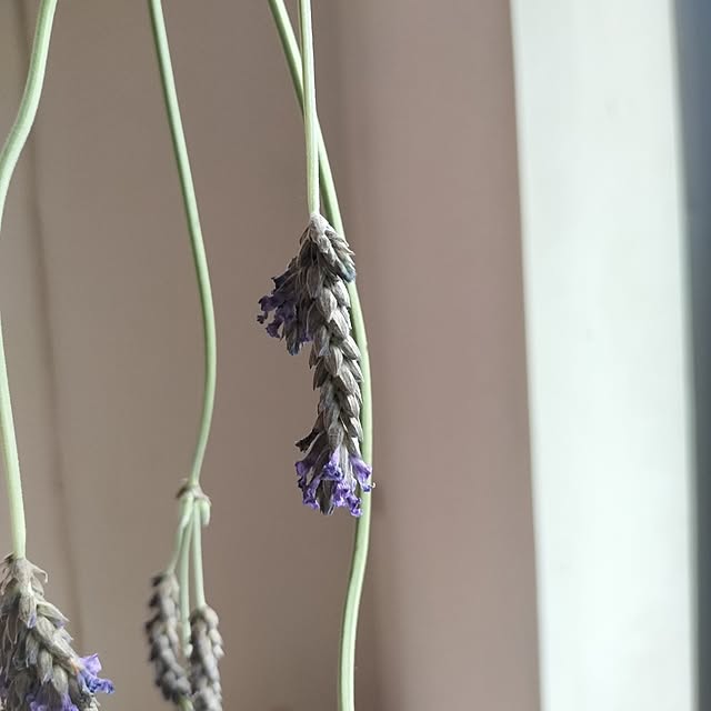 aoiroさんの部屋