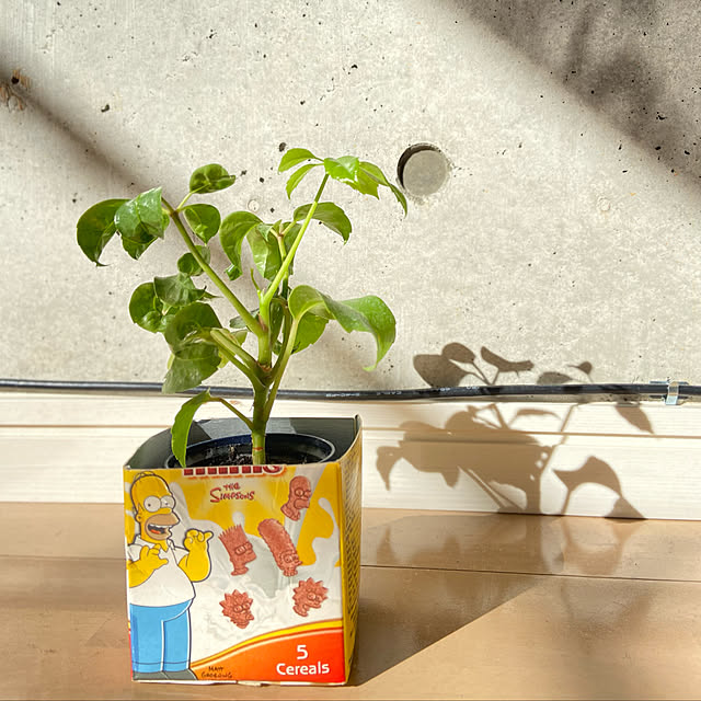 pochiさんの実例写真