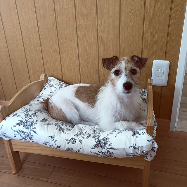 masamyさんの実例写真