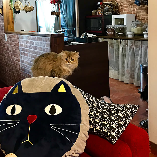 butachanさんの実例写真