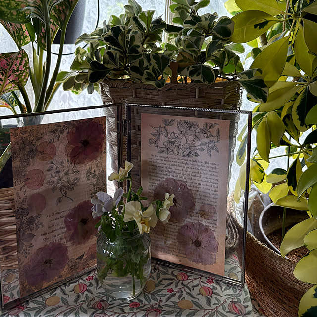 ChiCoさんの部屋