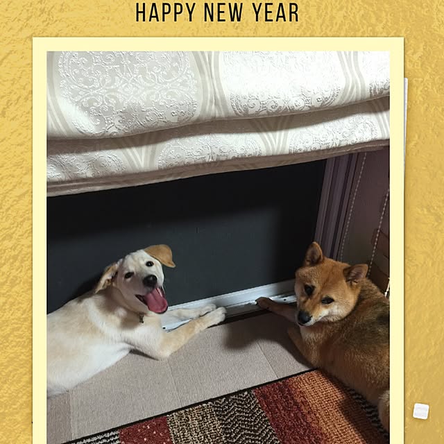 mtkさんの実例写真