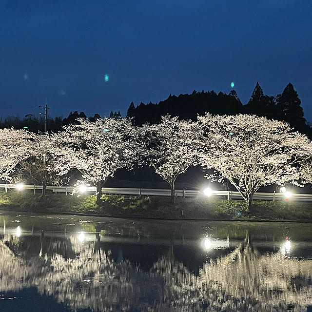 kyukoさんの部屋
