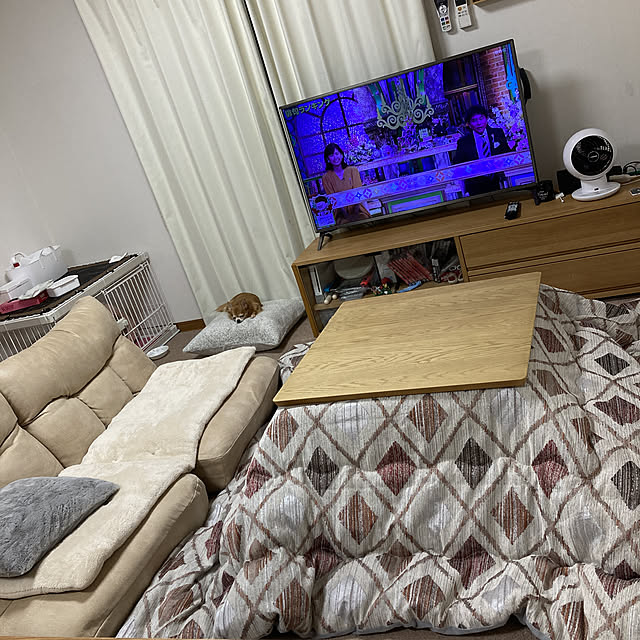 koroさんの実例写真