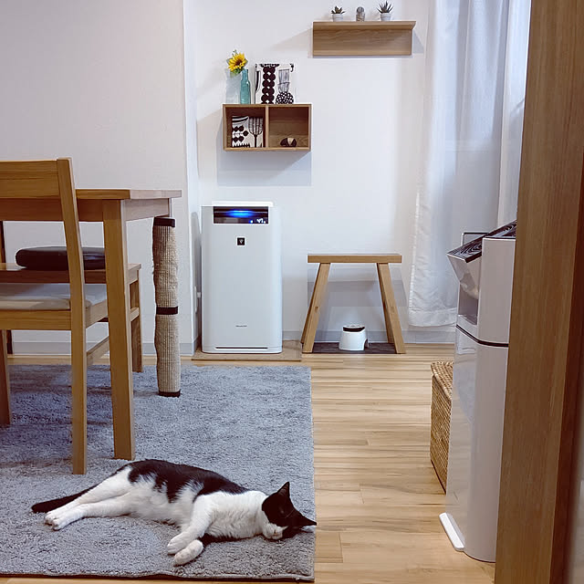 hihaさんの実例写真