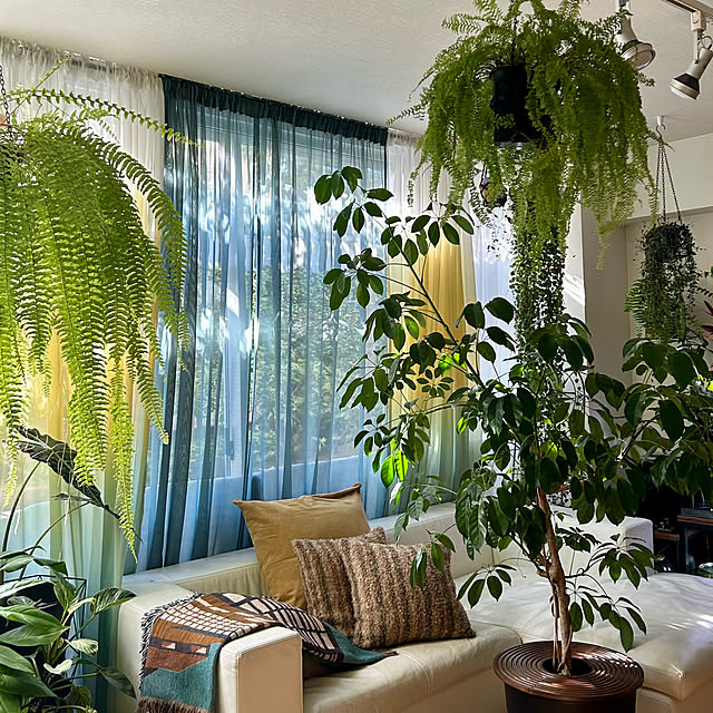 DAYONEさんの部屋