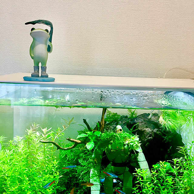 Misaさんの実例写真