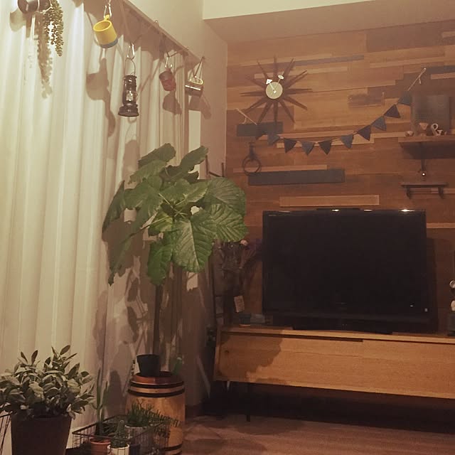 sakuniさんの実例写真
