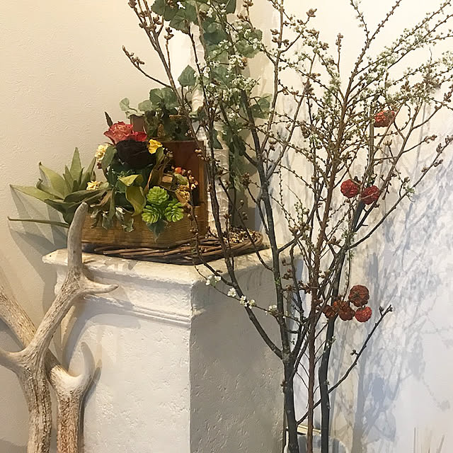 玄関/入り口/観葉植物/ドライフラワー/北欧/植物のインテリア実例 - 2018-03-12 15:28:21