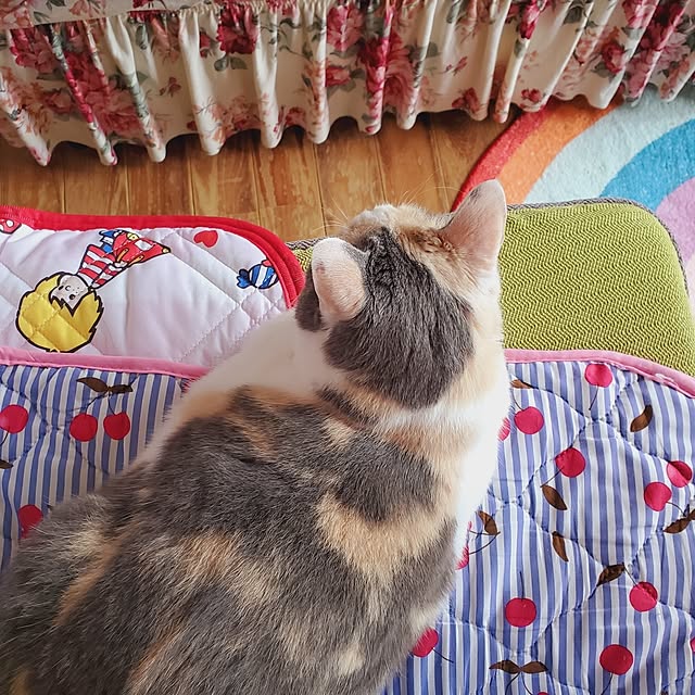 kumutanさんの部屋