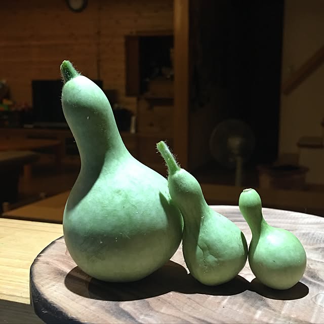 kozakura10さんの実例写真