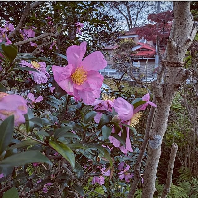 ku-garnet18さんの部屋