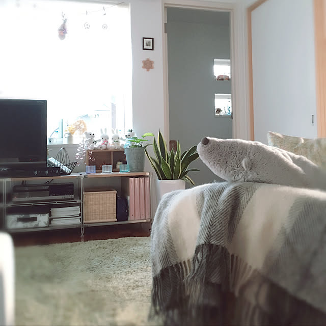tsukineさんの実例写真