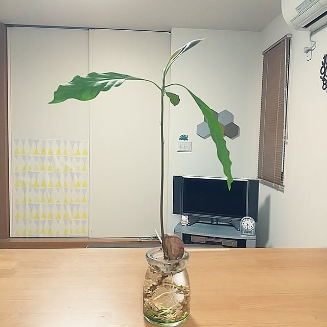 iku-yoneさんの実例写真