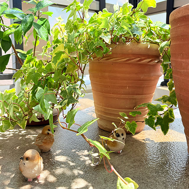 up0524さんの実例写真