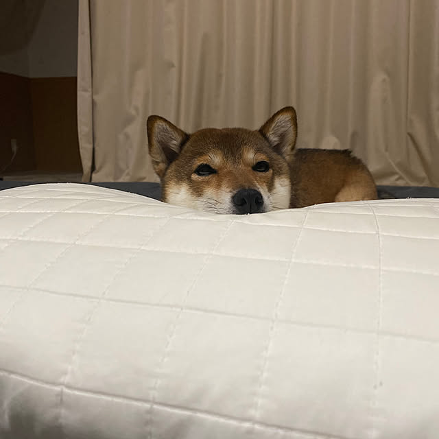 nocomomさんの部屋