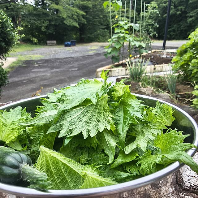 Rubiconさんの部屋