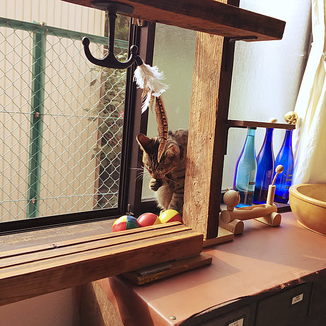 Mさんの実例写真