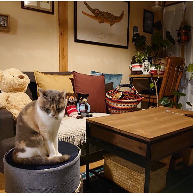 fukuさんの実例写真
