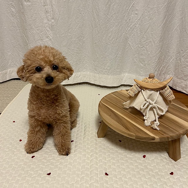 chii_saさんの実例写真