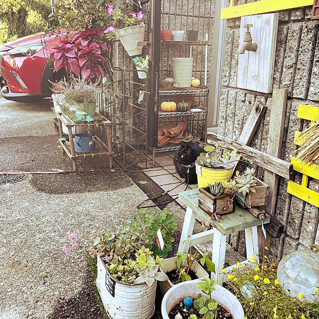 jijiさんの実例写真