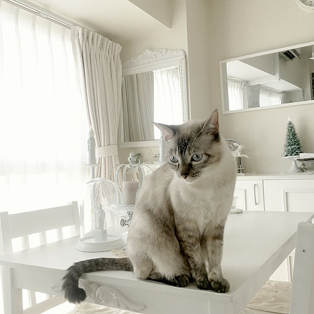 noelさんの実例写真