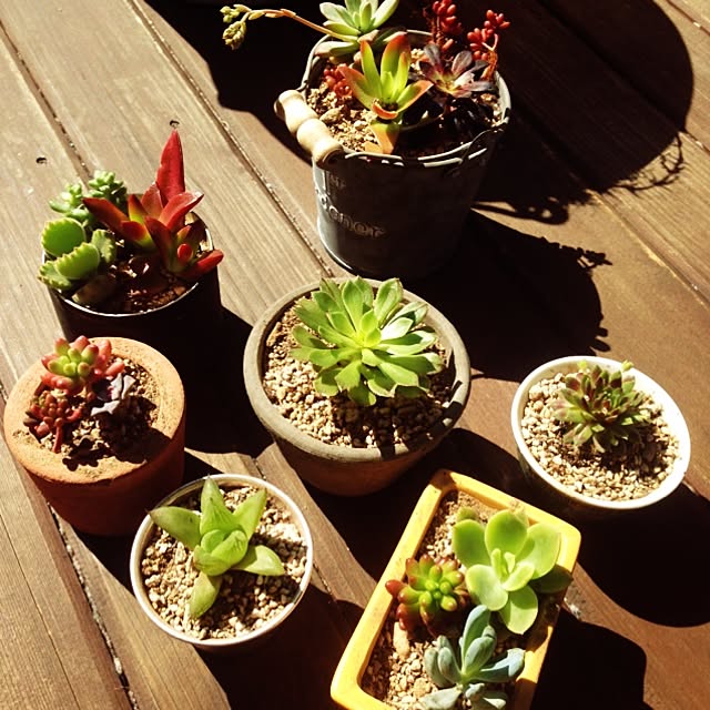 mamiさんの実例写真