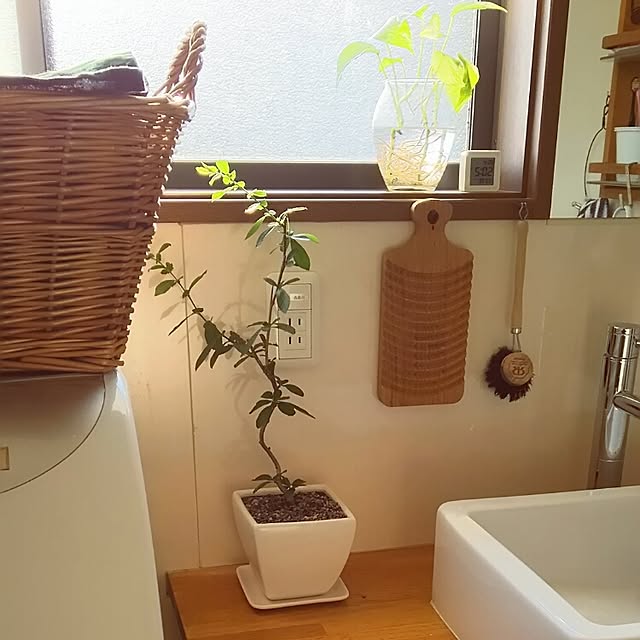 kirikoさんの実例写真