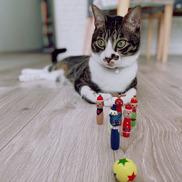 ippu0303Karinさんの実例写真