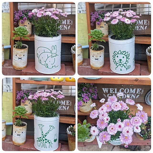 junさんの実例写真