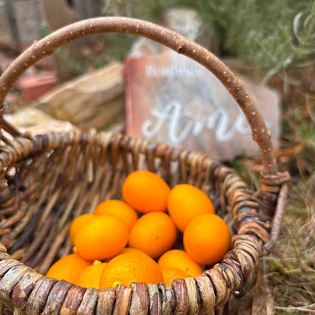 madeleineさんの部屋