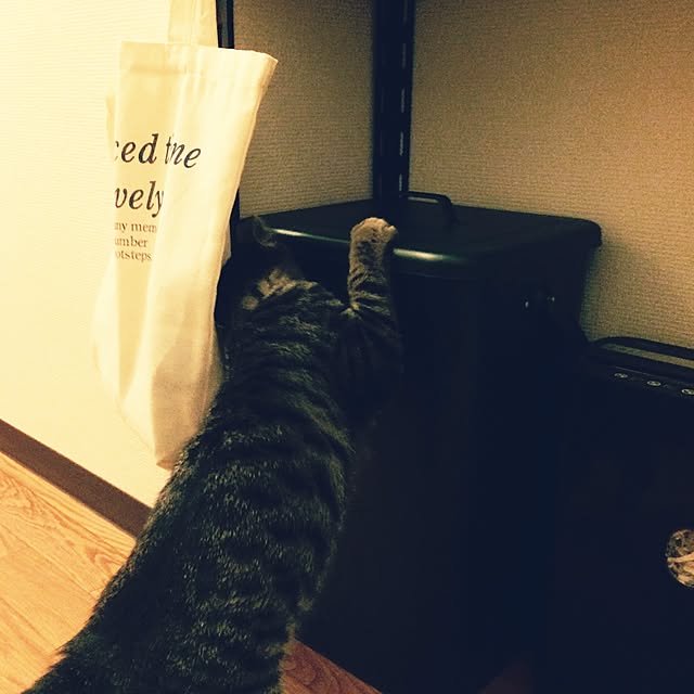 maruさんの実例写真