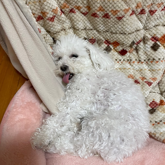kakoさんの実例写真