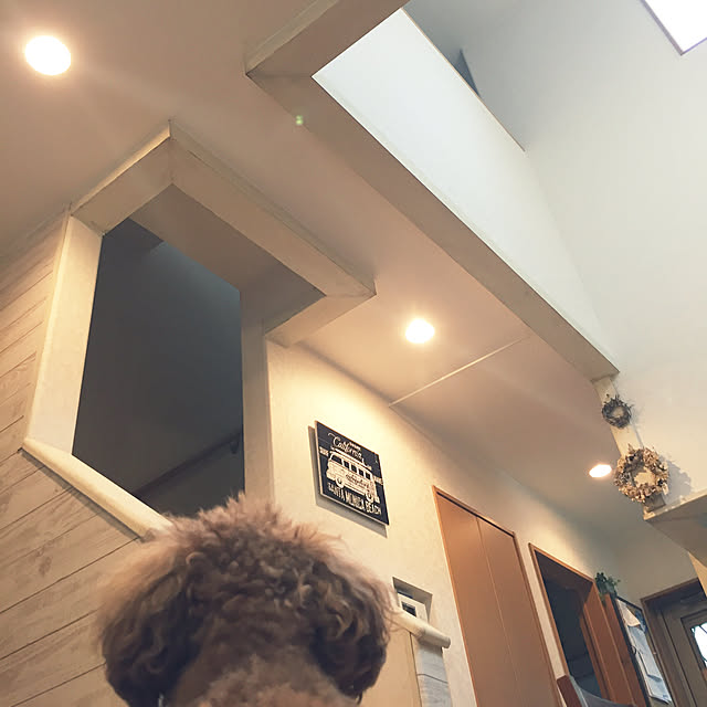 kazuさんの実例写真