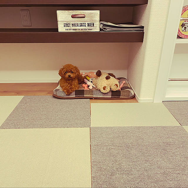 otsutaudonkoさんの実例写真