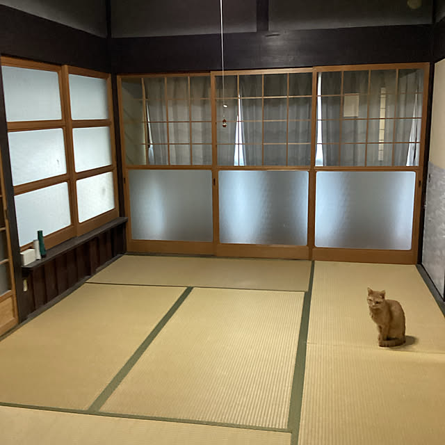 conatuさんの実例写真