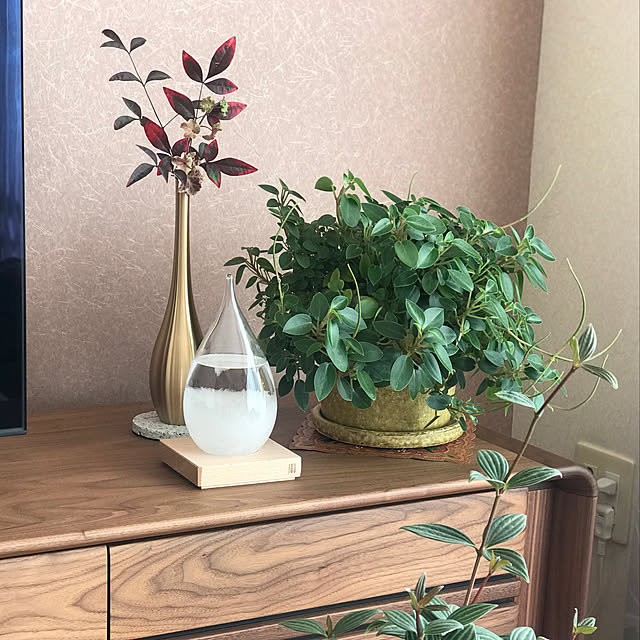 Saraさんの実例写真