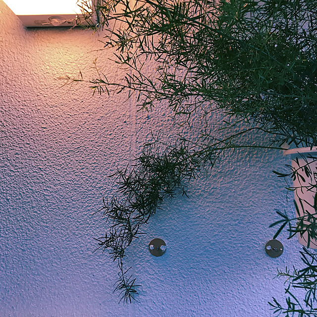 moon.mさんの実例写真