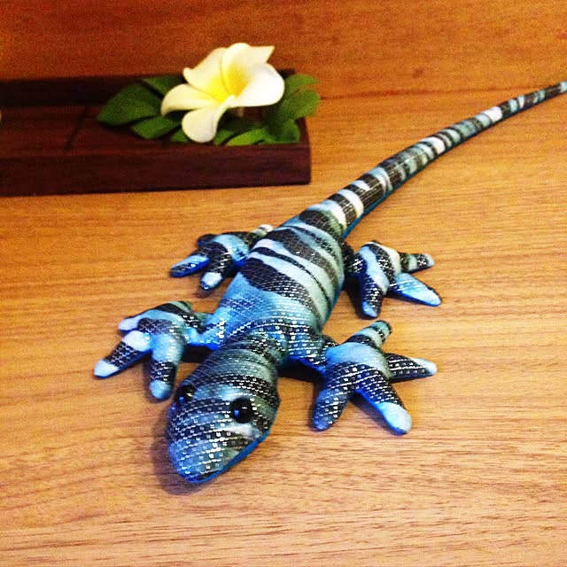 Hal-Toさんの実例写真