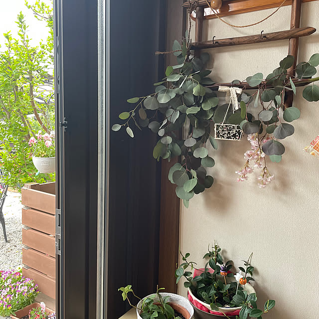 ronronさんの部屋