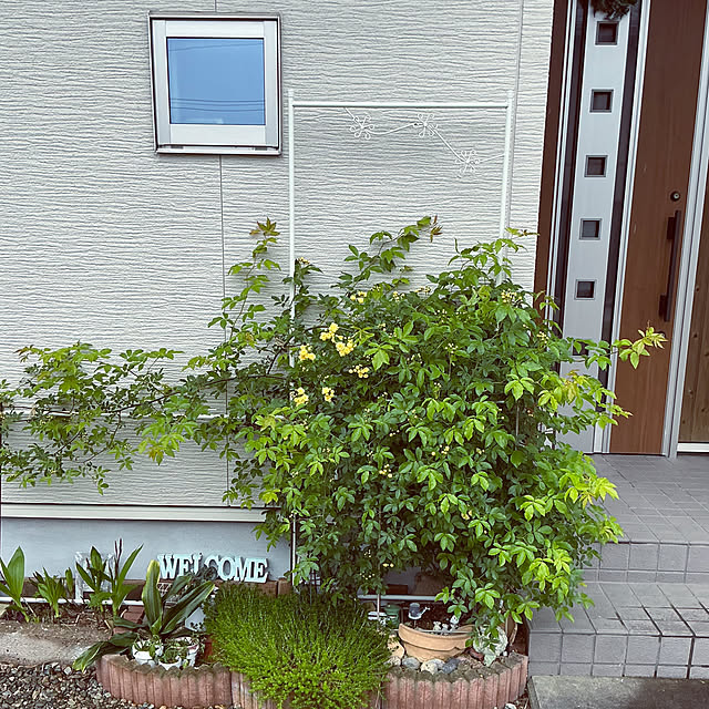 chiiyanさんのお部屋の写真