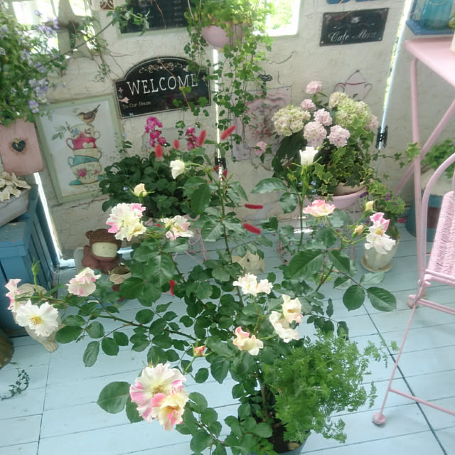 ruruさんの実例写真