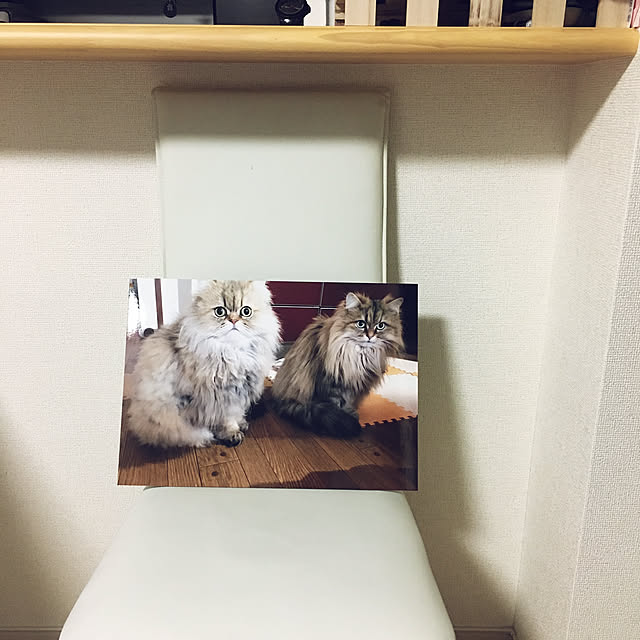 k_dinoさんの実例写真