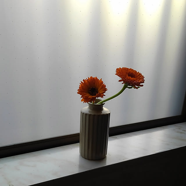 Renさんの実例写真