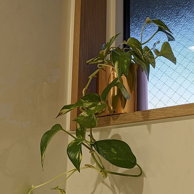 reeさんの実例写真