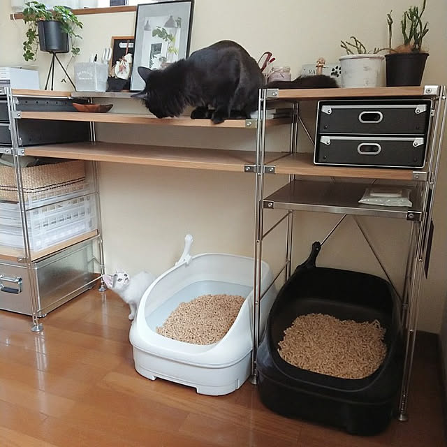kumiさんの実例写真