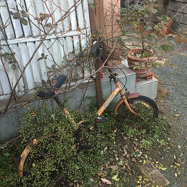 aranさんの実例写真