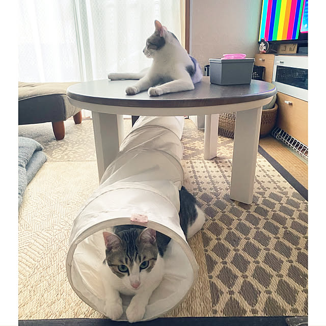 Lufuさんの実例写真